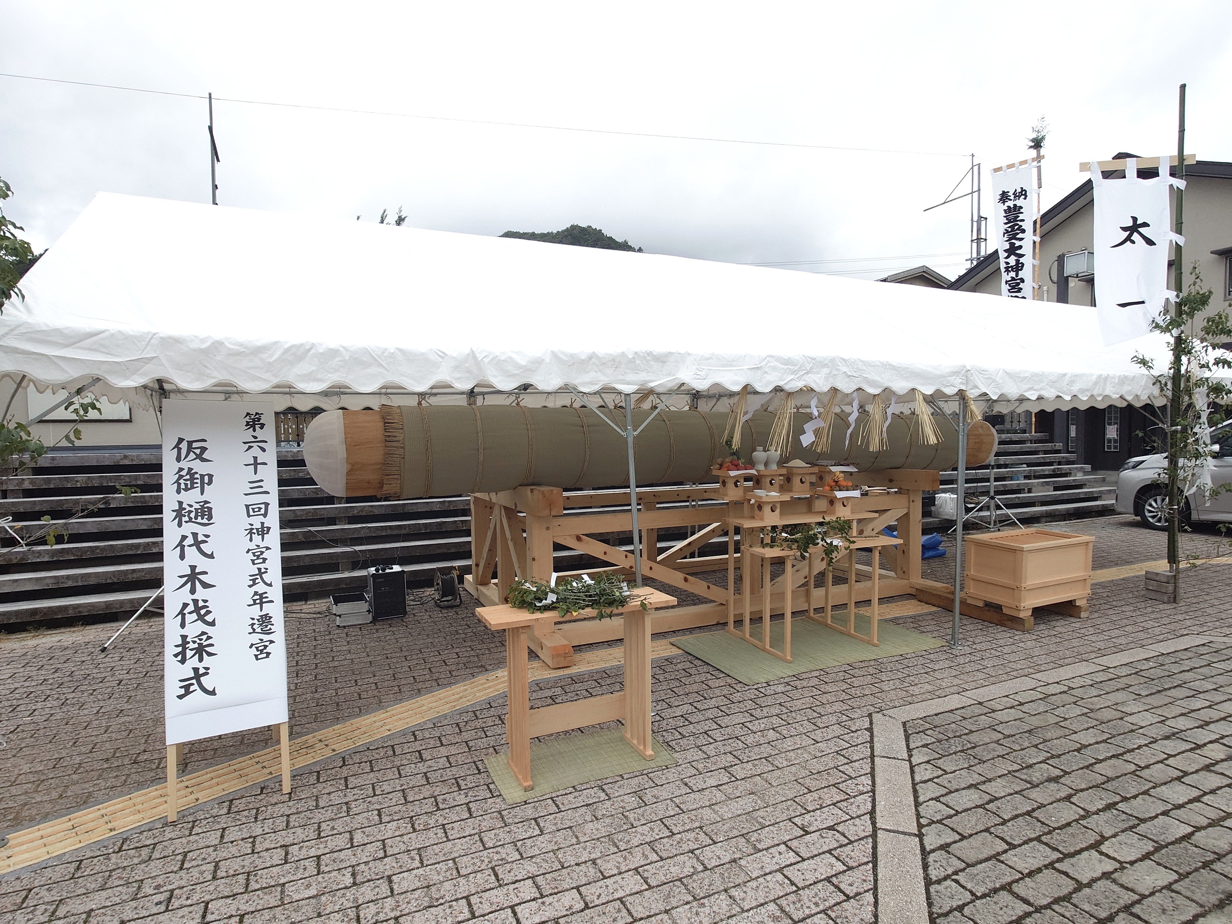 ヒノキ_095150.JPG