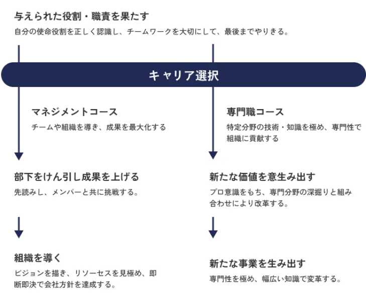 キャリアパス