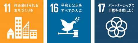 SDGS 11 16 17