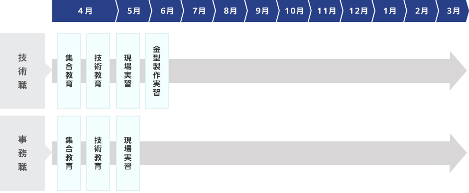 新入社員の研修～配属まで