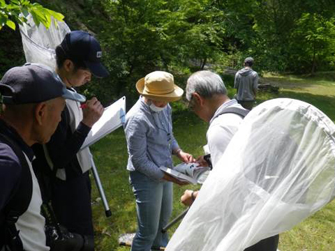 植生・昆虫調査